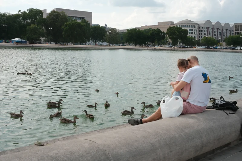 A parent and child sit beside the water as ducks gather along the shore.