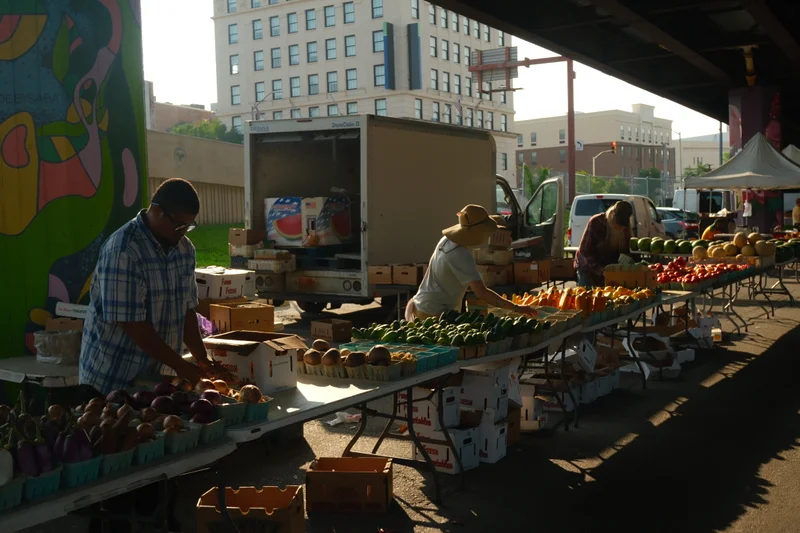 Vendors arrange rows of fresh produce at a market beneath an overpass, where sunlight spills across the stalls.